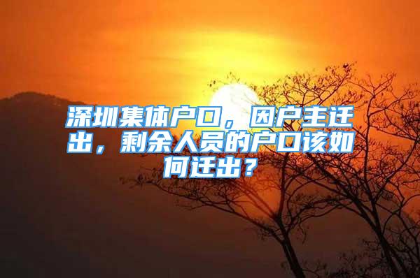 深圳集体户口，因户主迁出，剩余人员的户口该如何迁出？