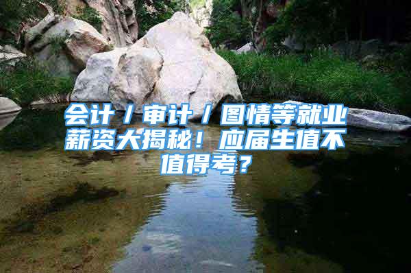 会计／审计／图情等就业薪资大揭秘！应届生值不值得考？