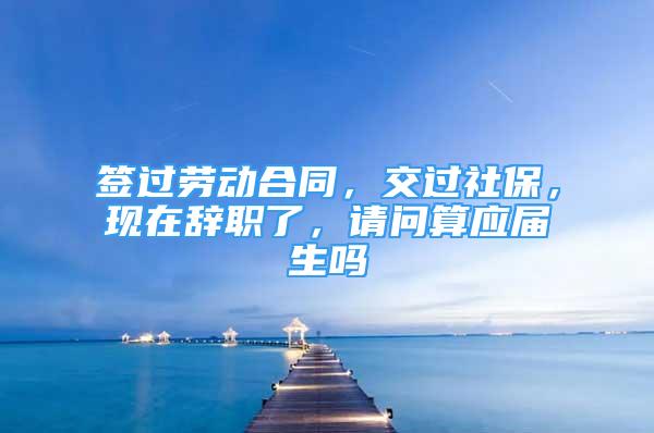 签过劳动合同，交过社保，现在辞职了，请问算应届生吗