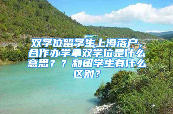 双学位留学生上海落户，合作办学拿双学位是什么意思？？和留学生有什么区别？