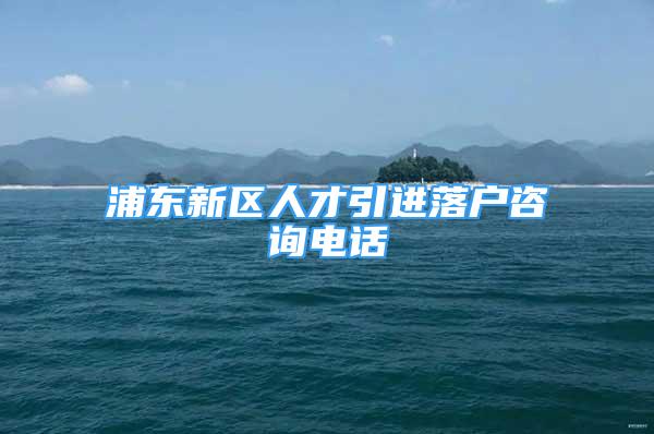 浦东新区人才引进落户咨询电话