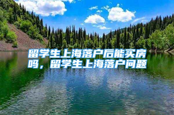 留学生上海落户后能买房吗，留学生上海落户问题