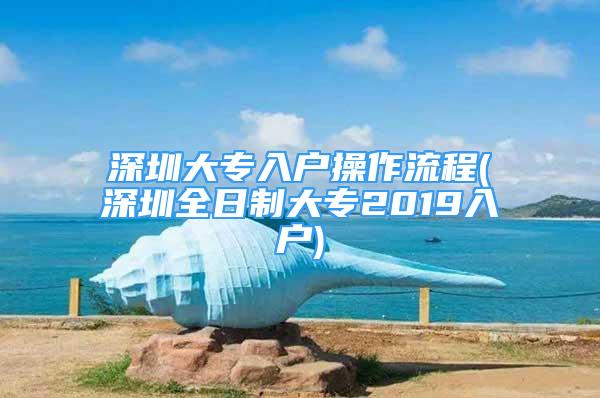 深圳大专入户操作流程(深圳全日制大专2019入户)