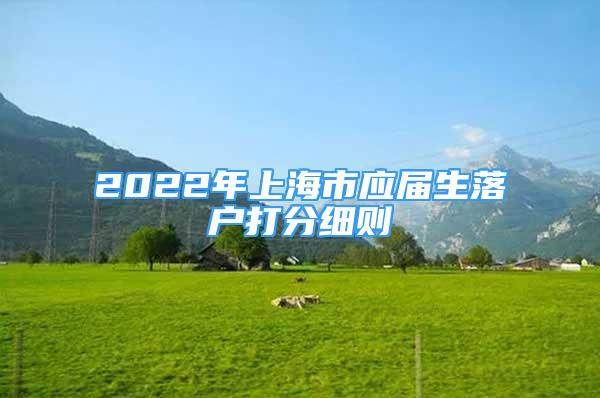 2022年上海市应届生落户打分细则