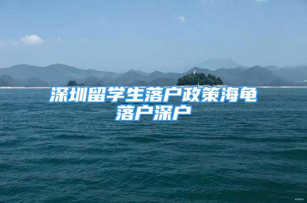 深圳留学生落户政策海龟落户深户