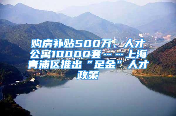 购房补贴500万、人才公寓10000套……上海青浦区推出“足金”人才政策