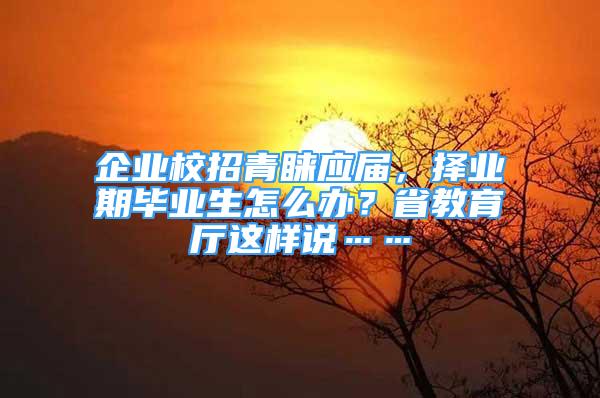 企业校招青睐应届，择业期毕业生怎么办？省教育厅这样说……