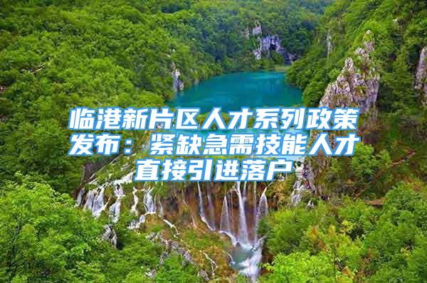 临港新片区人才系列政策发布：紧缺急需技能人才直接引进落户