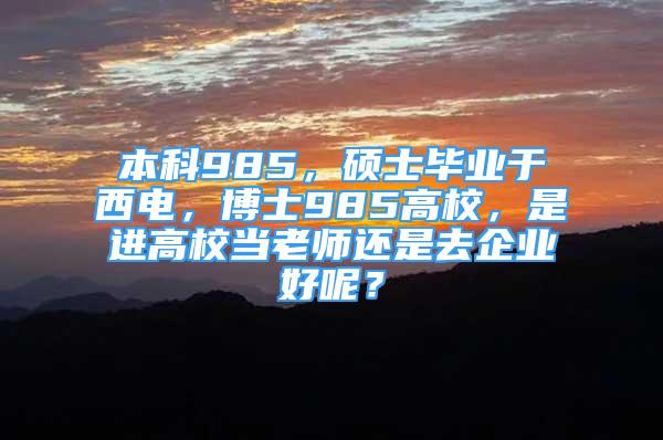 本科985，硕士毕业于西电，博士985高校，是进高校当老师还是去企业好呢？