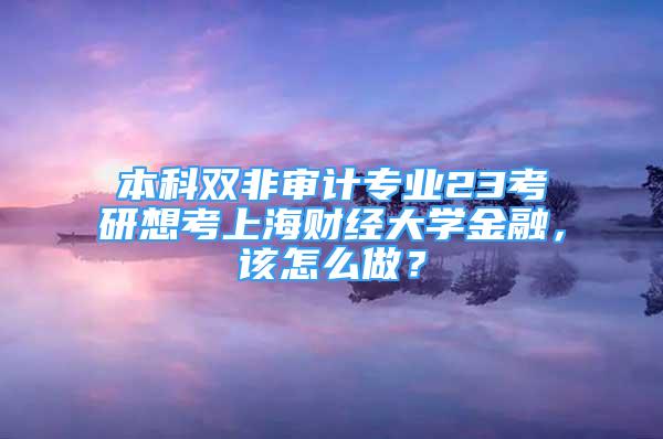 本科双非审计专业23考研想考上海财经大学金融，该怎么做？