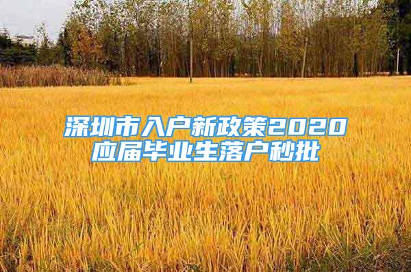 深圳市入户新政策2020应届毕业生落户秒批