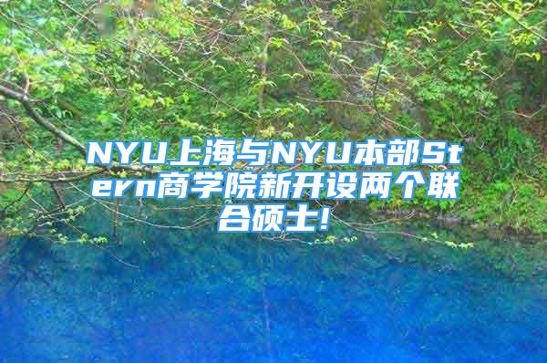 NYU上海与NYU本部Stern商学院新开设两个联合硕士!