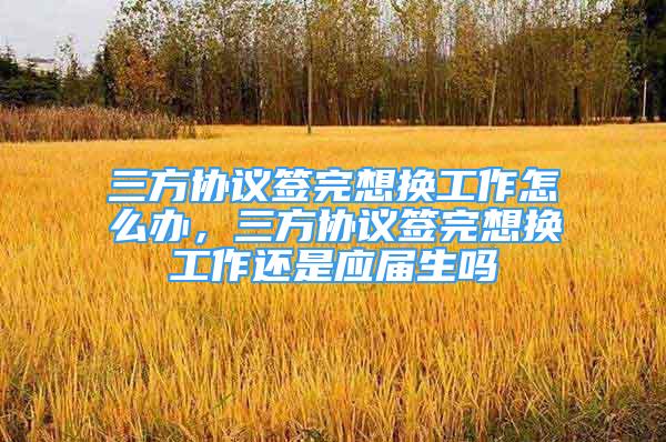 三方协议签完想换工作怎么办，三方协议签完想换工作还是应届生吗