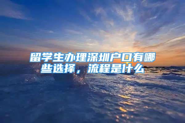 留学生办理深圳户口有哪些选择，流程是什么