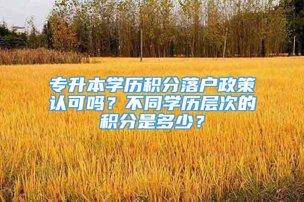 专升本学历积分落户政策认可吗？不同学历层次的积分是多少？