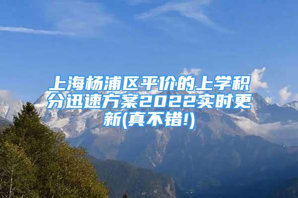 上海杨浦区平价的上学积分迅速方案2022实时更新(真不错!)