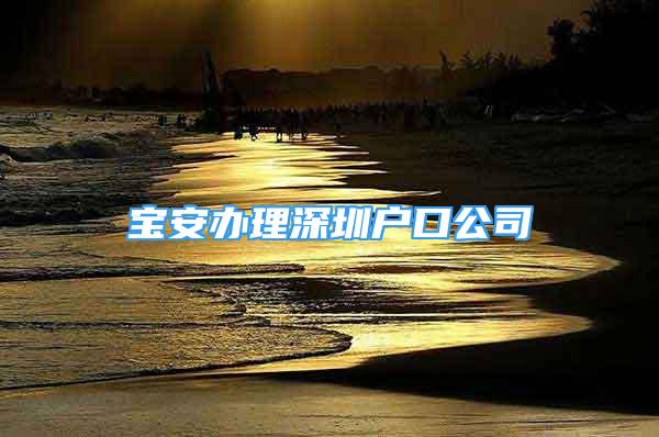 宝安办理深圳户口公司