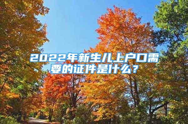 2022年新生儿上户口需要的证件是什么？