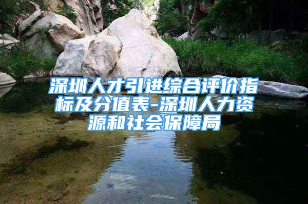 深圳人才引进综合评价指标及分值表-深圳人力资源和社会保障局