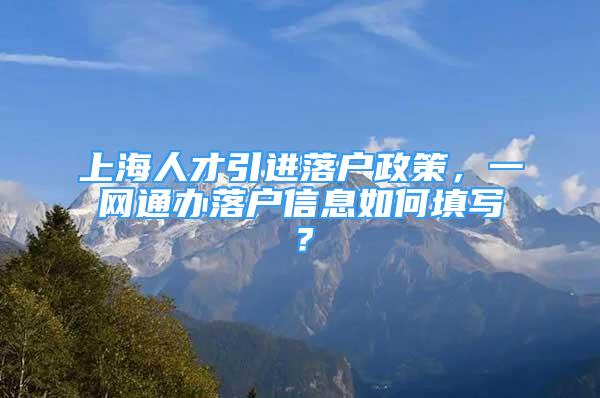 上海人才引进落户政策，一网通办落户信息如何填写？