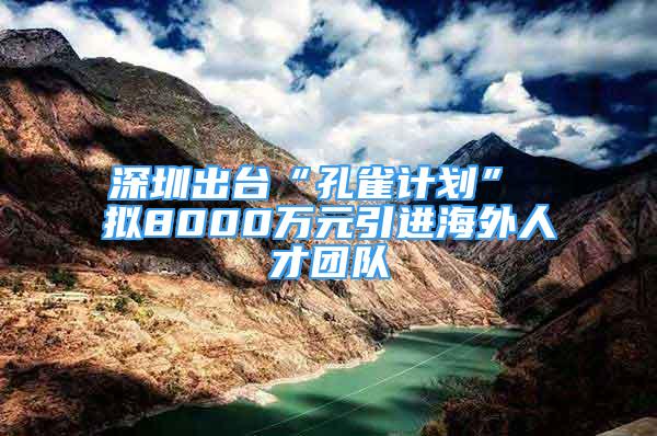 深圳出台“孔雀计划” 拟8000万元引进海外人才团队