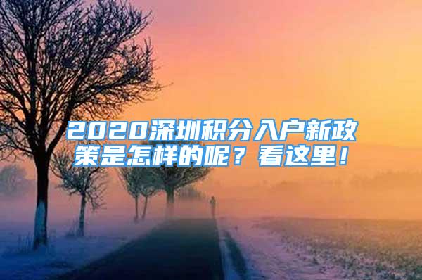 2020深圳积分入户新政策是怎样的呢？看这里！