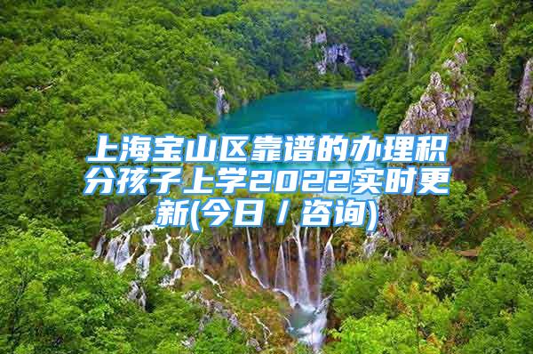 上海宝山区靠谱的办理积分孩子上学2022实时更新(今日／咨询)