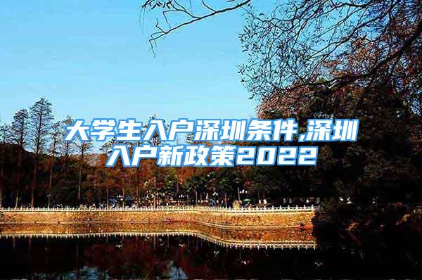 大学生入户深圳条件,深圳入户新政策2022