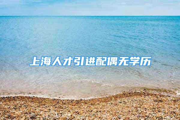 上海人才引进配偶无学历