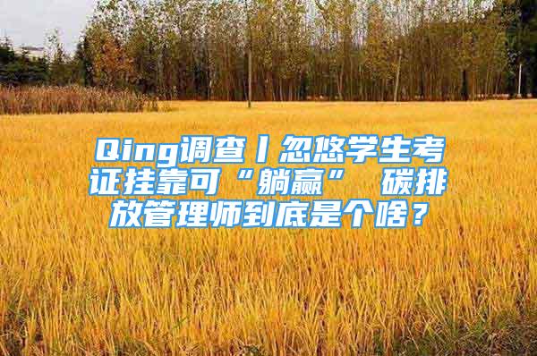 Qing调查丨忽悠学生考证挂靠可“躺赢” 碳排放管理师到底是个啥？