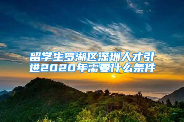 留学生罗湖区深圳人才引进2020年需要什么条件