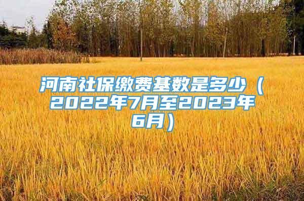 河南社保缴费基数是多少（2022年7月至2023年6月）