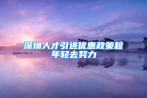 深圳人才引进优惠政策趁年轻去努力