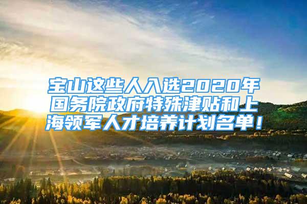 宝山这些人入选2020年国务院政府特殊津贴和上海领军人才培养计划名单！