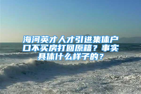 海河英才人才引进集体户口不买房打回原籍？事实具体什么样子的？