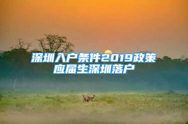 深圳入户条件2019政策应届生深圳落户