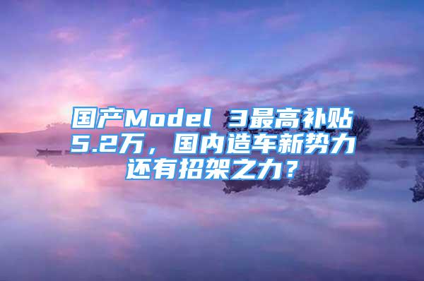 国产Model 3最高补贴5.2万，国内造车新势力还有招架之力？