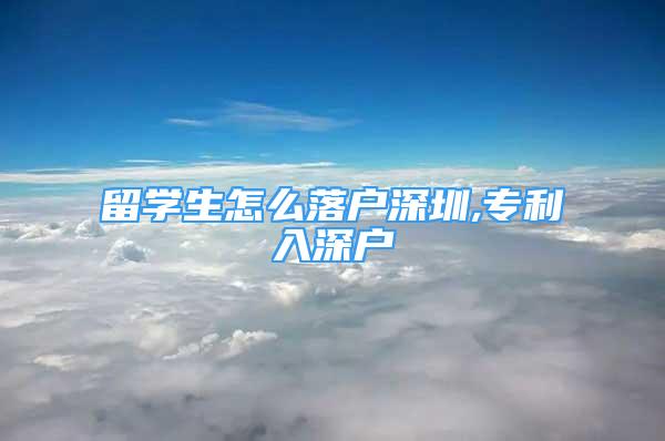 留学生怎么落户深圳,专利入深户