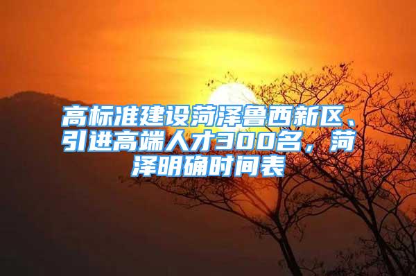 高标准建设菏泽鲁西新区、引进高端人才300名，菏泽明确时间表