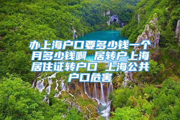 办上海户口要多少钱一个月多少钱啊 居转户上海居住证转户口 上海公共户口危害