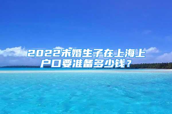 2022未婚生子在上海上户口要准备多少钱？