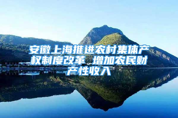 安徽上海推进农村集体产权制度改革 增加农民财产性收入