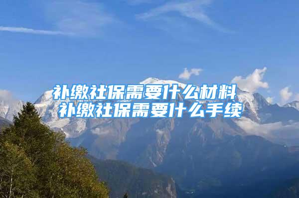 补缴社保需要什么材料 补缴社保需要什么手续