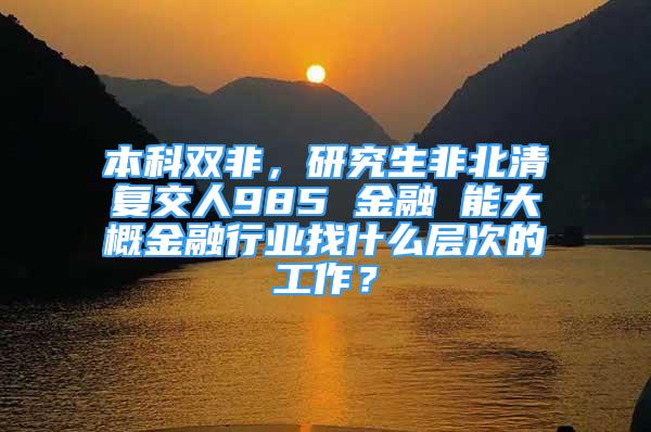 本科双非，研究生非北清复交人985 金融 能大概金融行业找什么层次的工作？