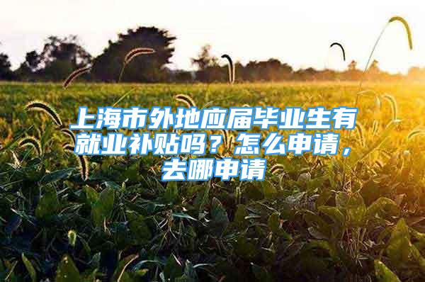 上海市外地应届毕业生有就业补贴吗？怎么申请，去哪申请