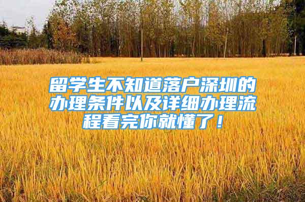 留学生不知道落户深圳的办理条件以及详细办理流程看完你就懂了！