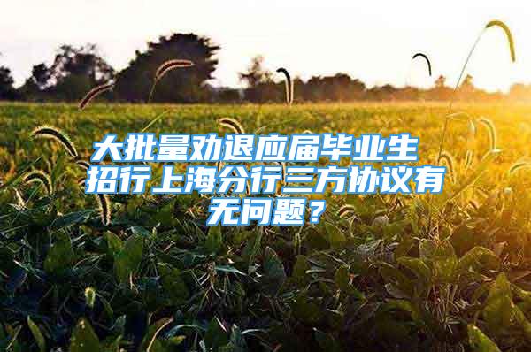 大批量劝退应届毕业生 招行上海分行三方协议有无问题？