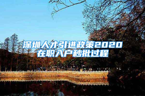 深圳人才引进政策2020在职入户秒批过程