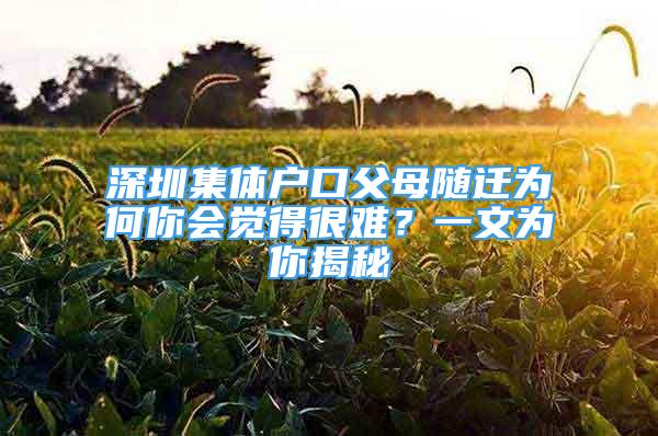 深圳集体户口父母随迁为何你会觉得很难？一文为你揭秘