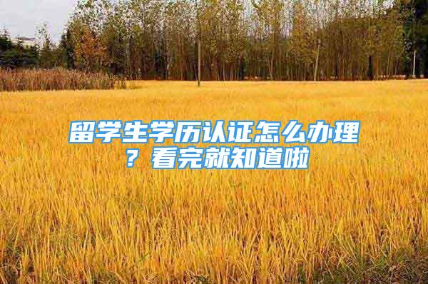 留学生学历认证怎么办理？看完就知道啦